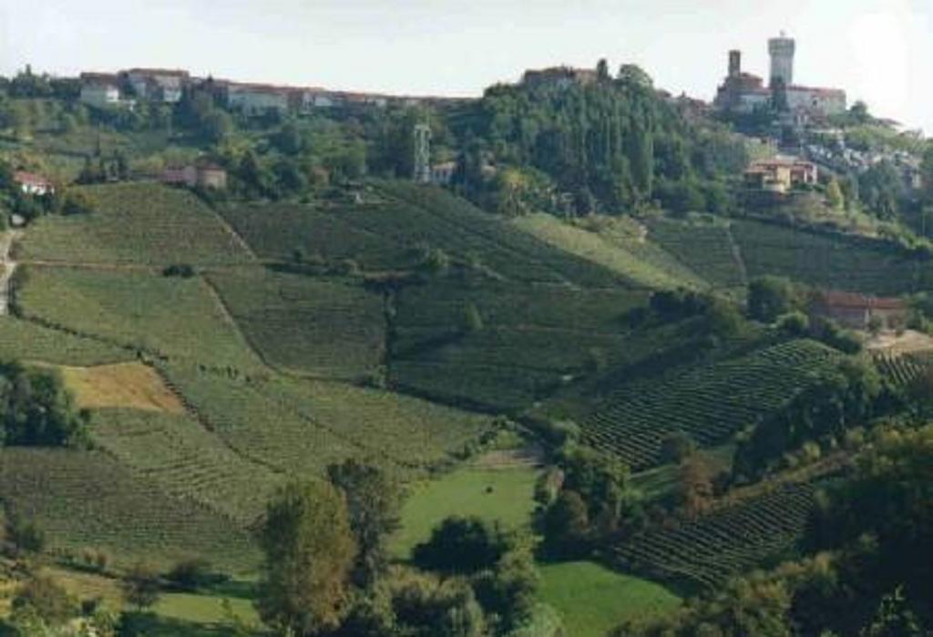 Il Grappolo Panzió Mongardino Kültér fotó